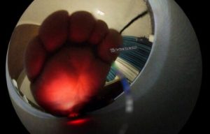 【明视界】连载-足底人生第一集(VR全景版)-97LZTD-99141