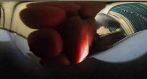 【明视界】连载-足底人生第一集(VR全景版)-97LZTD-99141