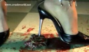 国产美女踩乌龟血肉模糊 语言调教CR_025fish-97LZTD-99186