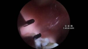 【明视界】明妃丸吞第一视角-97LZTD-99785