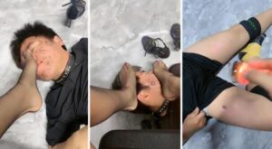 【喵主】绿帽前任被关狗笼虐-97LZTD-99859