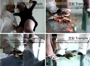 癞蛤蟆想吃天鹅肉就只能被踩死-97LZTD-146394