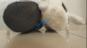【国产踩踏恋足】【第一视角】超强制作《贱狗被哚儿折磨践踏，最后将其踩死缩小，与棉袜污垢结合》-97LZTD-146879