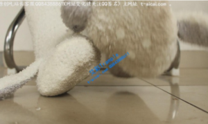 【国产踩踏恋足】【第一视角】超强制作《贱狗被哚儿折磨践踏，最后将其踩死缩小，与棉袜污垢结合》-97LZTD-146879