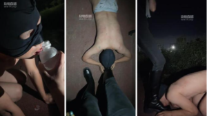 【佳禾小妈】深夜户外彻底犬化-97LZTD-247249