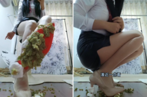 剧情向—女巨人摧毁小人 -97LZTD-834541359