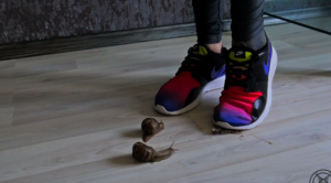 Helga Li女神nike鞋踩蜗牛 O-190509-5-97LZTDGXFC-000003132703339