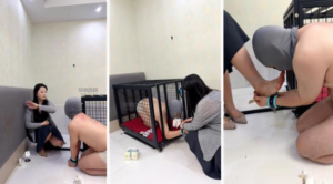 【荷花会所】圈养狗笼犬化场-97LZTDGXFC-000003132703773