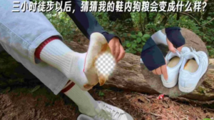 【大美】3小时徒步鞋内面包挑战-97LZTDGXFC-000003132704480