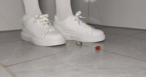 美女小白鞋白袜踩金鱼高清-97LZTDGXFC-00000313271503