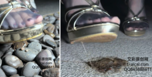 Tina公主穿黑丝上班路上顺便清理垃圾-97LZTDGXFC-00000313271567