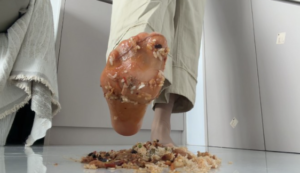 【莓子】短肉丝制作剩饭狗粮-97LZTDGXFC-00000313273237