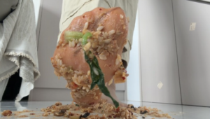 【莓子】短肉丝制作剩饭狗粮-97LZTDGXFC-00000313273237