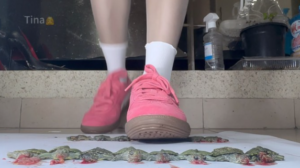 Tina公主语音调教踩小乌龟（超级推荐）-97LZTDGXFC-000003132733004