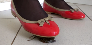 Irma crawdad crush 5-97LZTDGXFC-00000313273318978