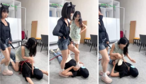 【杏杏子】教训偷机密的贼-97LZTDGXFC-00000313273319175