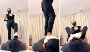 【苏大大】帆布鞋棉袜除臭狗-97LZTDGXFC-00000313273319222