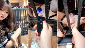 【御凌】把狗关狗笼里-97LZTDGXFC-000003132733193756