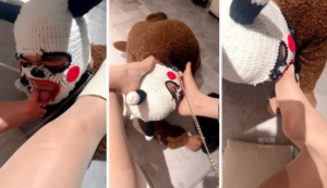 【泪泪】双女调教贱狗生活化调教-97LZTDGXFC-000003132733193822