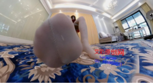 〖H.P.L栖心之栈〗—木堇身边的小宠物VR-97LZTDGXFC-000003132733193977
