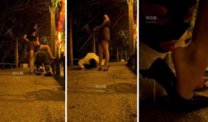 【暖暖】户外遛狗惩罚场-97LZTDGXFC-000003132733194013